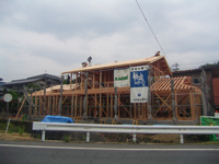 建舞完了
