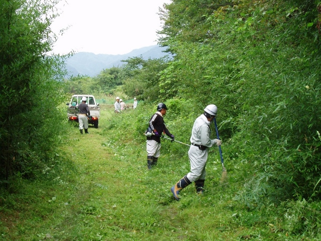 河川公園の草刈り