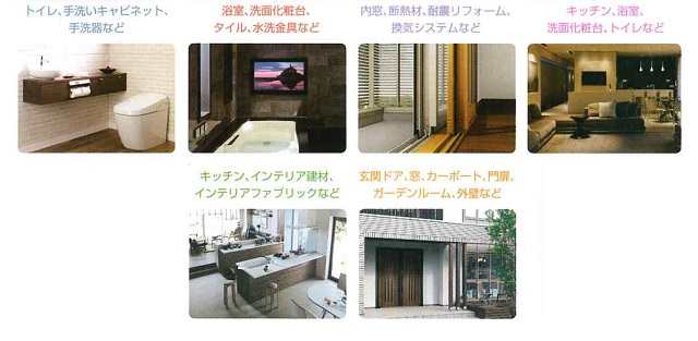 展示内容