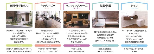 展示内容