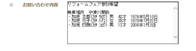 記入例
