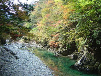 不動滝から流れる別名青川とも呼ばれる付知川